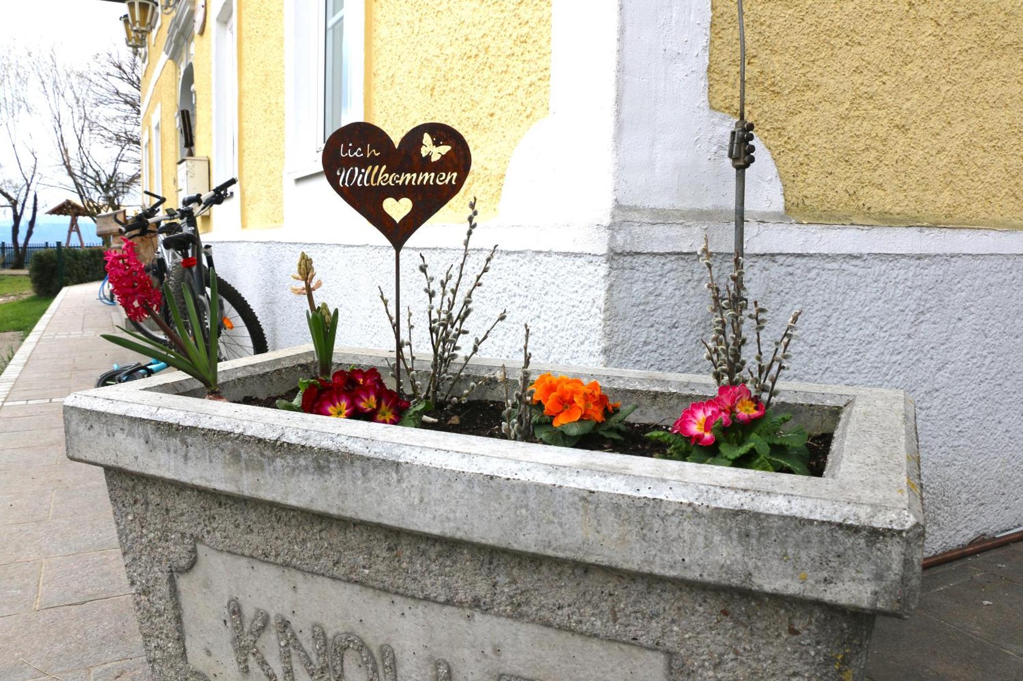 Ferienwohnung Am Bio-Bauernhof Obertrum am See Kültér fotó
